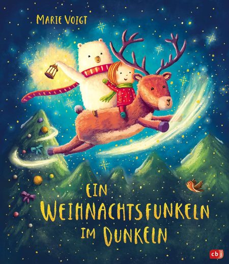 Ein Weihnachtsfunkeln im Dunkeln - Cover