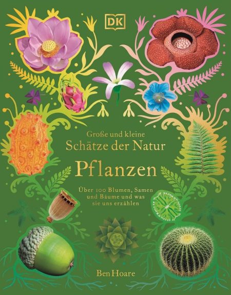 Große und kleine Schätze der Natur - Pflanzen