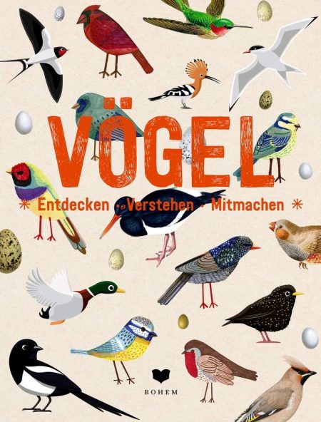 Vögel - Entdecken - Verstehen - Mitmachen