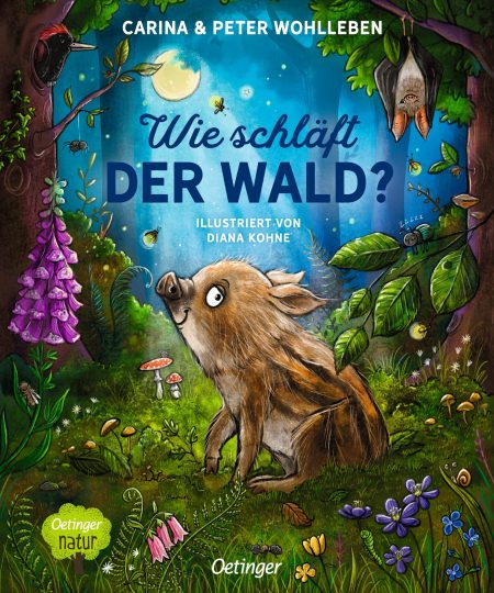 Wie schläft der Wald